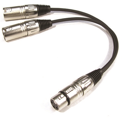 Stadium Y-Cable